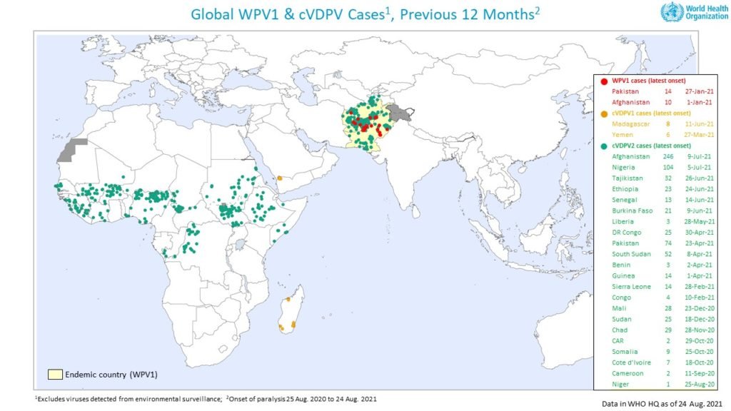 Polio cases