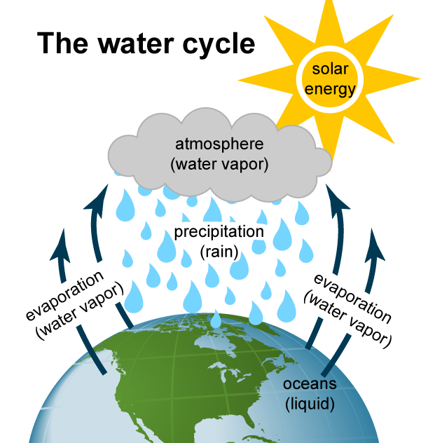 The Water Cycle